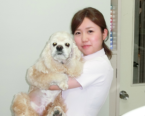看護師、トリマー 森山 悠希 (旧姓高木)