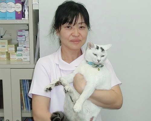 看護師、トリマー 園田裕加里