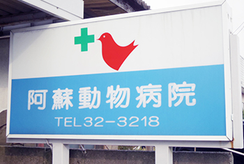 基本情報
